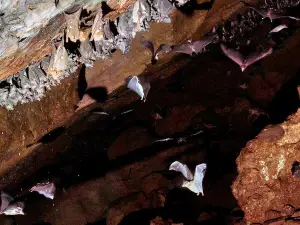 Songwe Bat Caves & Hot Springs