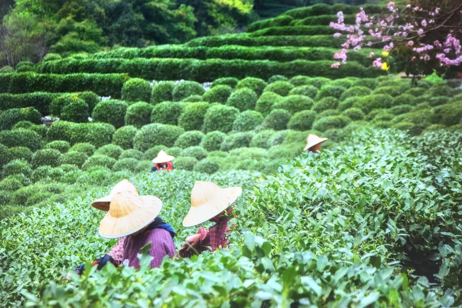 Longjing Village