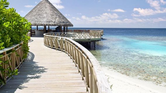 Maldive