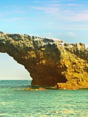 Parque nacional Islas del Canal