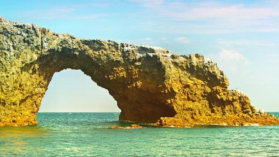 Channel Islands National Park