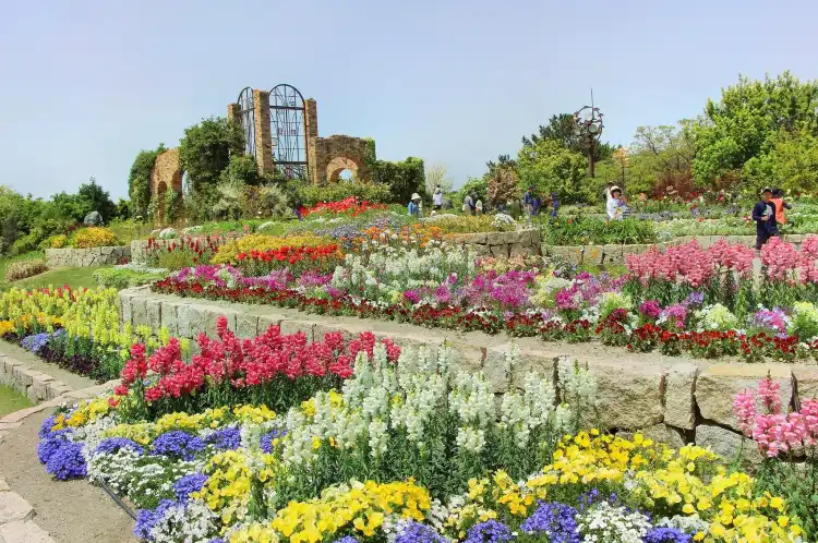 Hotels near Uminonakamichi Seaside Park