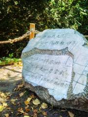 徐志摩の記念石