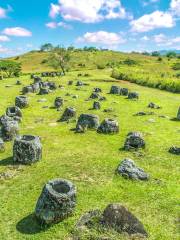 The Plain of Jars