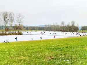 Rheinaue Park