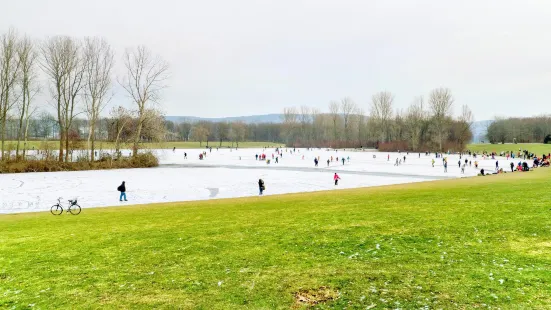 Rheinaue Park