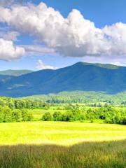 Great Smoky Mountains National Park