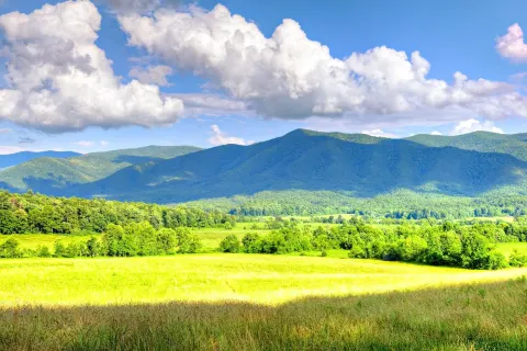 Parco nazionale delle Great Smoky Mountains