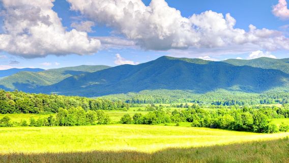 Parc national des Great Smoky Mountains