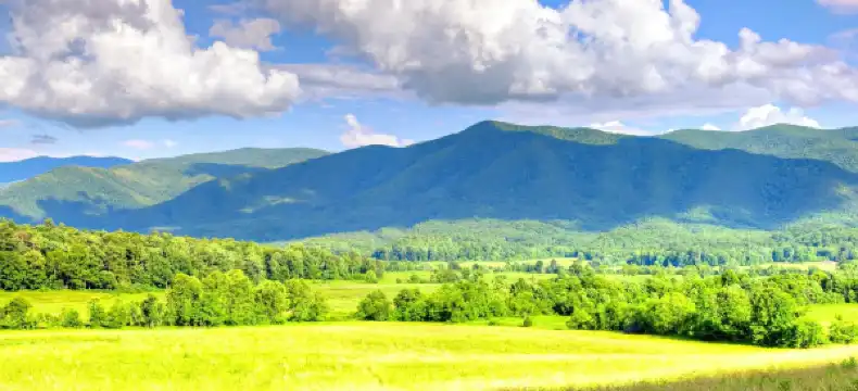 Clarion properties in Sevier County