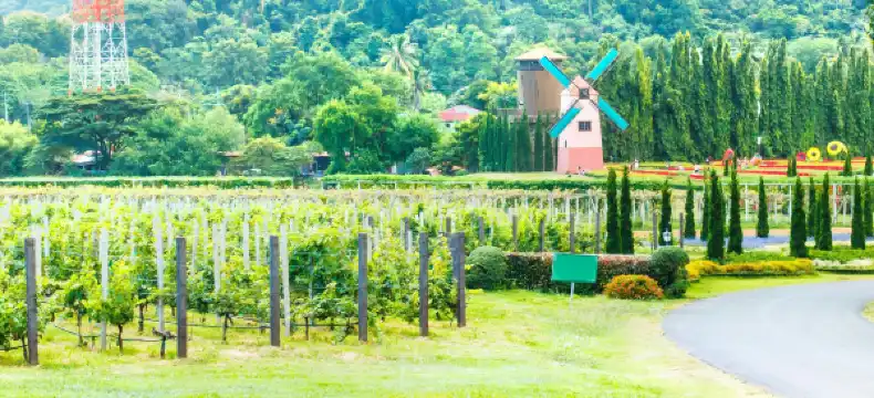 โรงแรมใกล้หาดบ้านอำเภอ