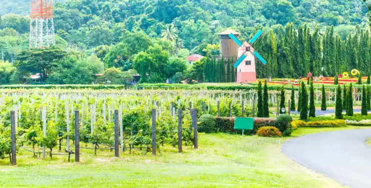 Hotels in Sattahip
