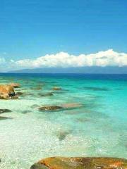 Fitzroy Island