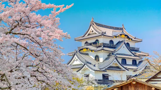 Hikone Castle