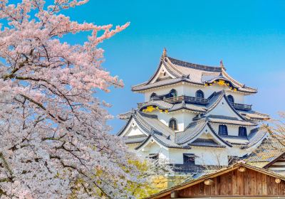 Castello di Hikone