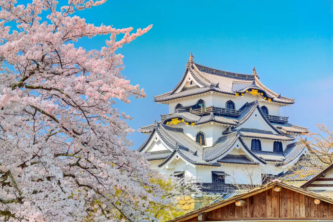 Hotels near Hikone Castle