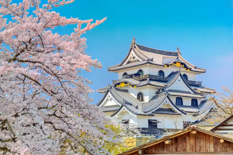 Hotels near Hikone Castle