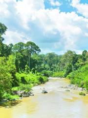 Danum Valley Conservation Area