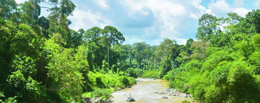 Danum Valley Conservation Area