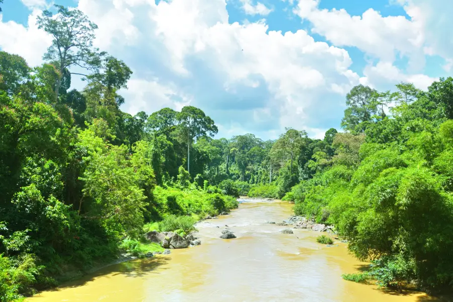 Danum Valley Conservation Area