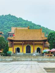 Xixin Buddhist Temple