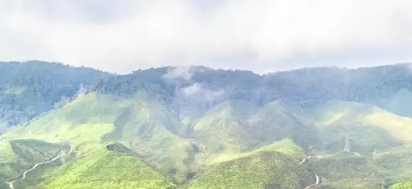 Tanah Rata