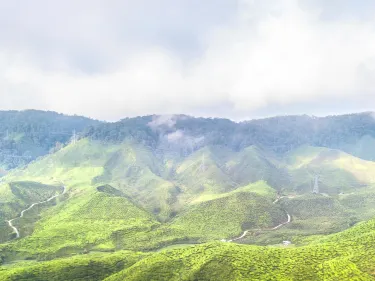 Cameron Highlands