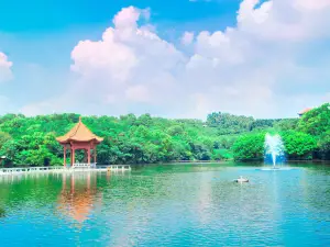 연화산 관광지