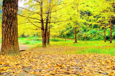 Maozifeng Tourist Attractions