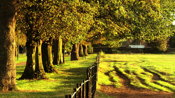 National Trust - Osterley Park and House