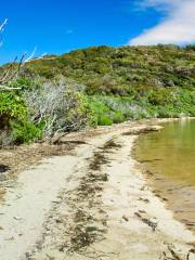 Parc national de Rakiura