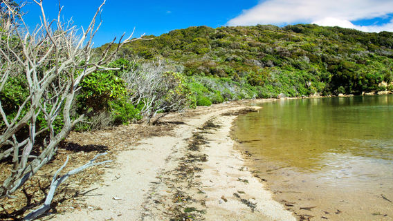 Rakiura National Park