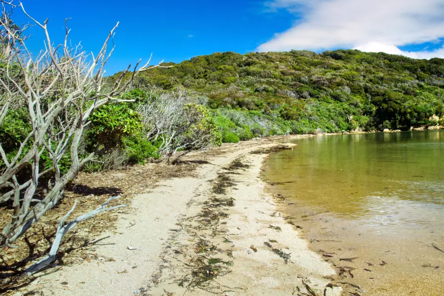 Parc national de Rakiura