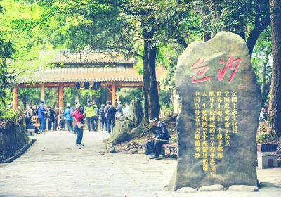 Basha Miao Nationality Village