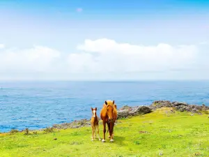 與那國島