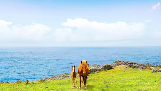 與那國島