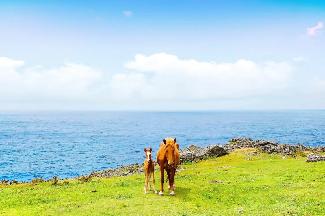 Hotel in zona Yonaguni