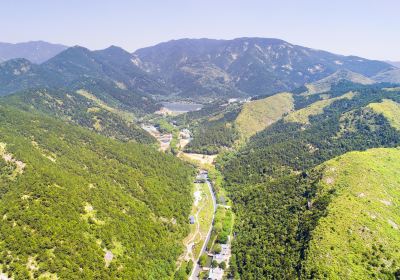 雙峯山國家森林公園