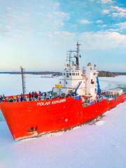 Discover Icebreaker