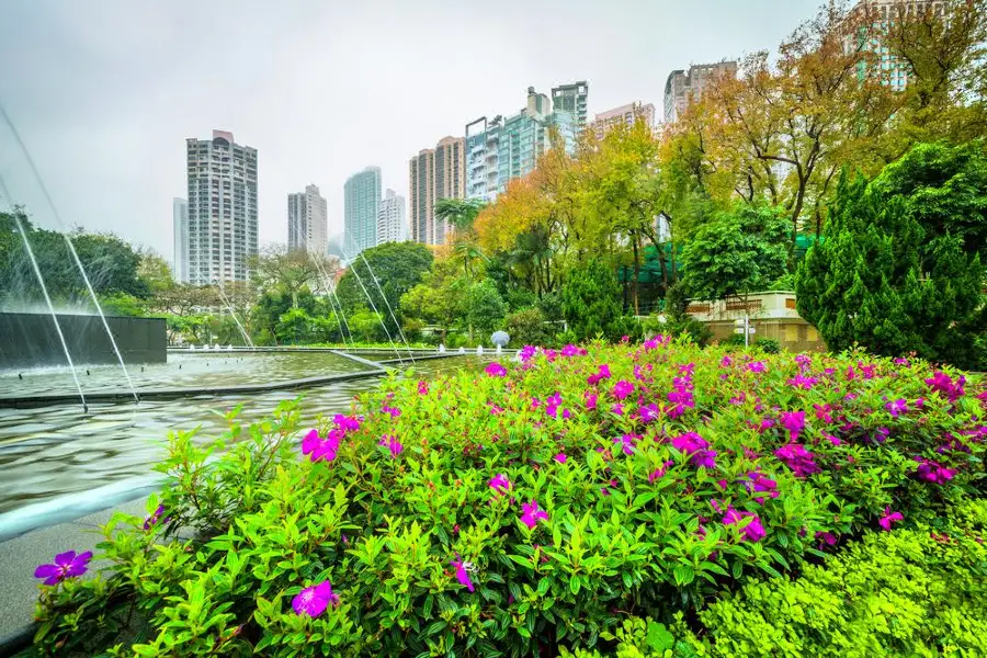 Hong Kong Zoological And Botanical Gardens