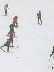 九龍口滑雪樂園