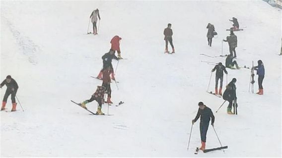 九龍口滑雪樂園