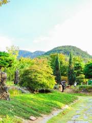 Daegu Arboretum