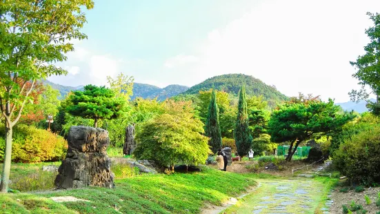 大邱樹木園