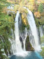 McArthur-Burney Falls Memorial State Park