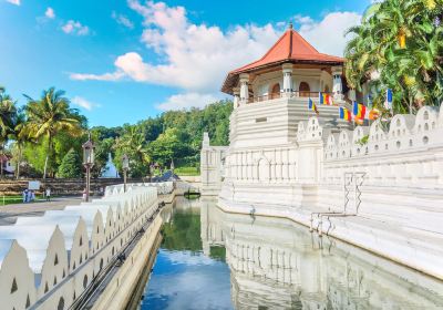 Templo del Diente de Buda (Sri Dalada Maligawa