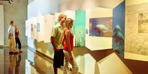 鯊魚灣世界遺產探索中心