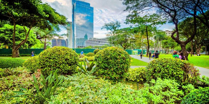 Ayala Triangle Gardens
