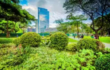 Ayala Triangle Gardens