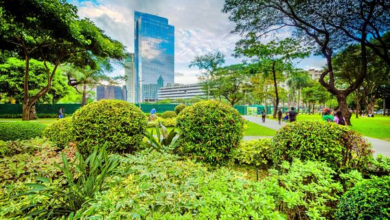 Ayala Triangle Gardens